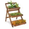 3-Tier Acacia Wood Plant Stand, Foldable Compact Indoor/Outdoor Display Rack for Plants and Decorative Items
